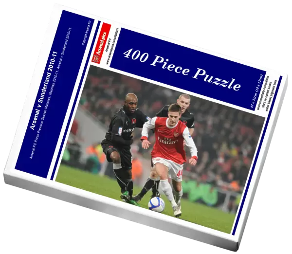 Arsenal v Sunderland 2010-11