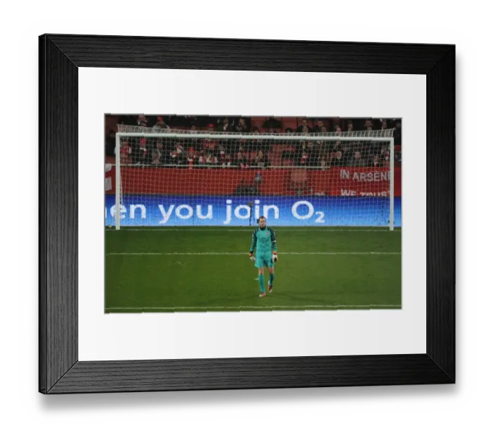 Framed Print : Arsenal's Manuel Almunia Shines in 5-0 FA Cup Victory over Leyton Orient Framed Print : Arsenal's Manuel Almunia Shines in 5-0 FA Cup Victory over Leyton Orient