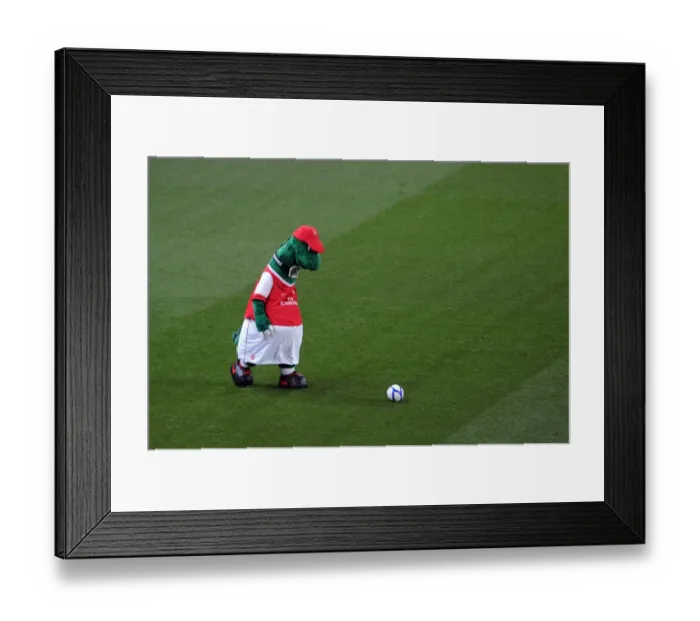 Framed Print : Gunner. Arsenal 5: 0 Leyton Orient, FA Cup Fifth Round Replay, Emirates Stasium Framed Print : Gunner. Arsenal 5: 0 Leyton Orient, FA Cup Fifth Round Replay, Emirates Stasium