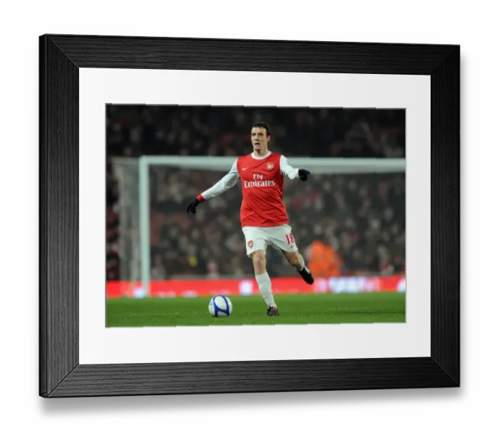 Framed Print : Arsenal's Sebastien Squillaci Celebrates FA Cup Victory Over Leyton Orient (5-0) Framed Print : Arsenal's Sebastien Squillaci Celebrates FA Cup Victory Over Leyton Orient (5-0)