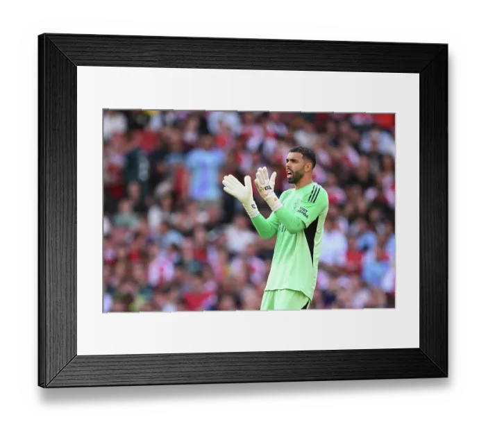 Framed Print : Arsenal v Villarreal - Pre-Season Friendly
