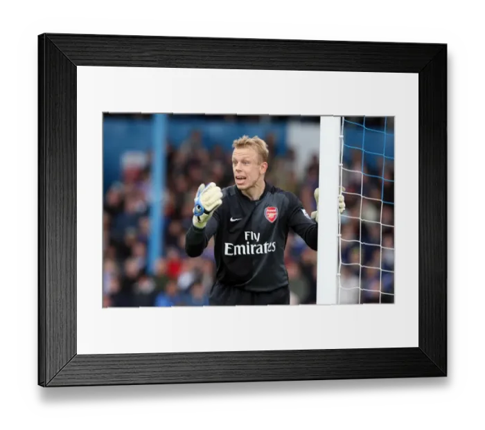 Framed Print : Mart Poom: The Unyielding Guardian in the Goal: Arsenal vs. Portsmouth, FA Premiership, 2007 Framed Print : Mart Poom: The Unyielding Guardian in the Goal: Arsenal vs. Portsmouth, FA Premiership, 2007