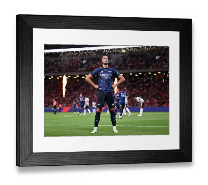 Framed Print : Arsenal v Newcastle: Pre-Season Friendly Framed Print : Arsenal v Newcastle: Pre-Season Friendly