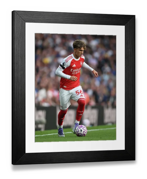 Framed Print : Arsenal v Leeds United - Premier League Framed Print : Arsenal v Leeds United - Premier League