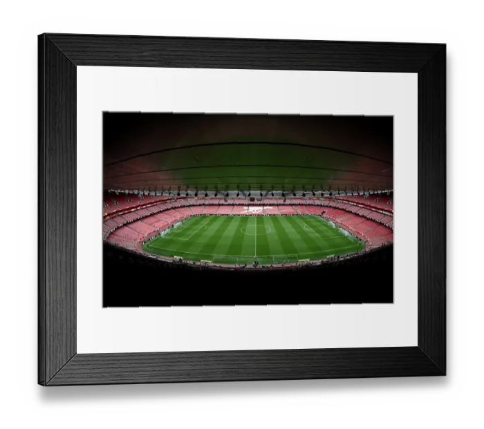 Framed Print : Arsenal v Leeds United - Premier League Framed Print : Arsenal v Leeds United - Premier League