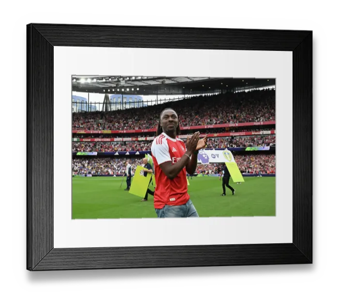 Framed Print : Arsenal v Leeds United - Premier League Framed Print : Arsenal v Leeds United - Premier League