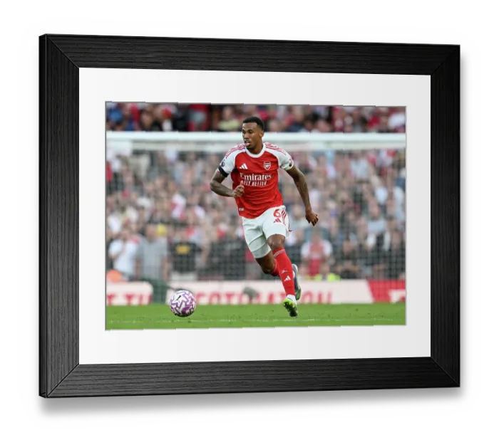 Framed Print : Arsenal v Leeds United - Premier League Framed Print : Arsenal v Leeds United - Premier League