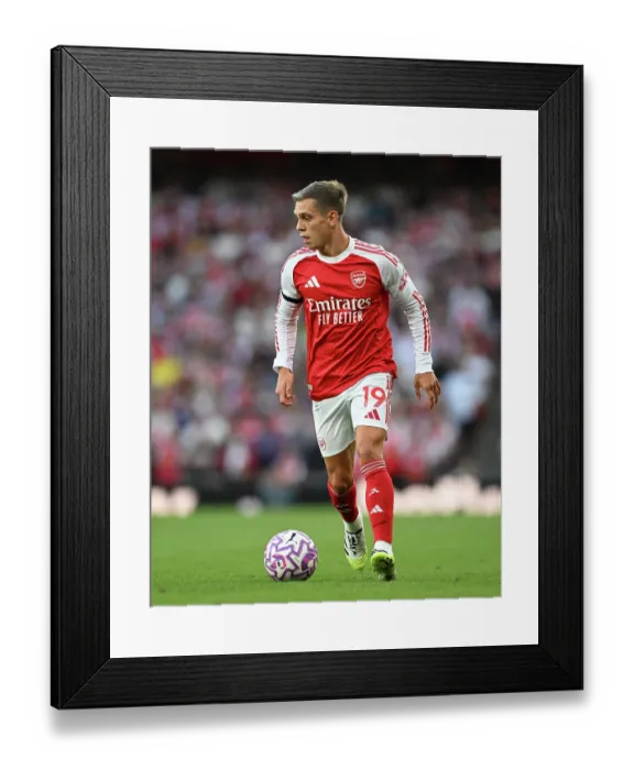 Framed Print : Arsenal v Leeds United - Premier League