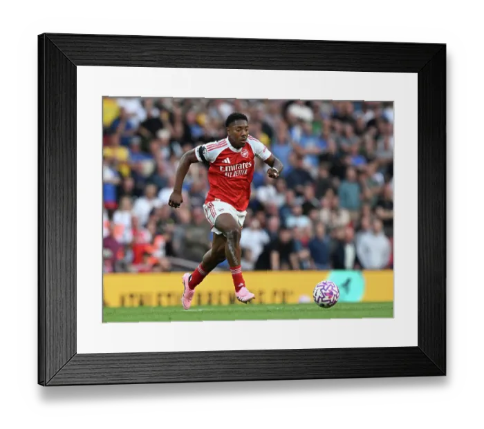 Framed Print : Arsenal v Leeds United - Premier League Framed Print : Arsenal v Leeds United - Premier League
