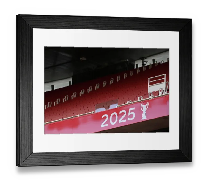 Framed Print : Arsenal v Leeds United - Premier League Framed Print : Arsenal v Leeds United - Premier League