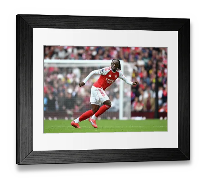 Framed Print : Arsenal v Nottingham Forest - Premier League Framed Print : Arsenal v Nottingham Forest - Premier League