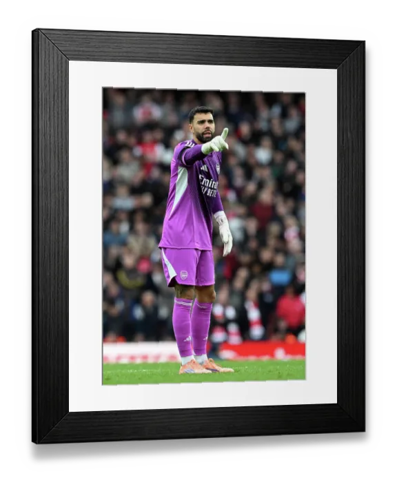Framed Print : Arsenal v West Ham United - Premier League Framed Print : Arsenal v West Ham United - Premier League