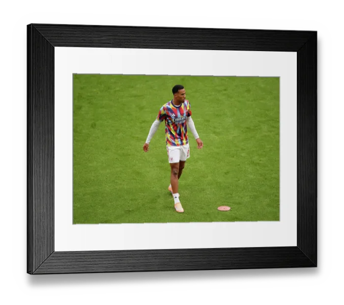 Framed Print : Arsenal v Crystal Palace - Premier League Framed Print : Arsenal v Crystal Palace - Premier League