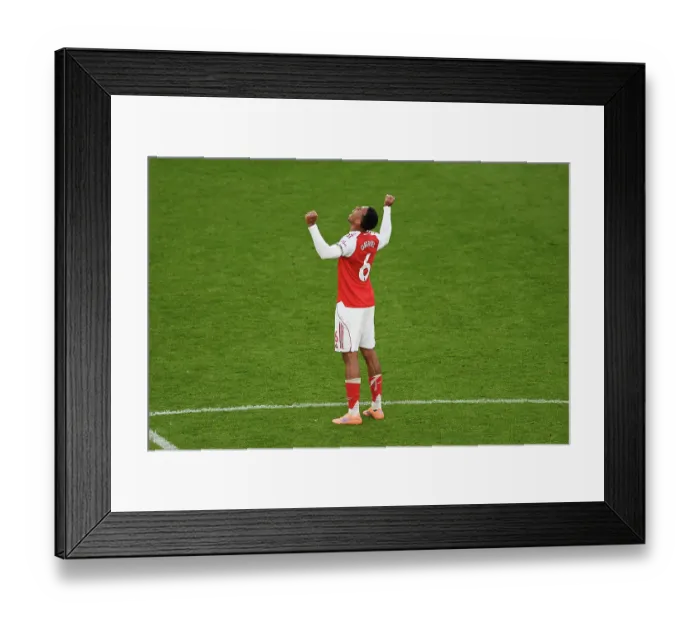 Framed Print : Arsenal v Crystal Palace - Premier League Framed Print : Arsenal v Crystal Palace - Premier League