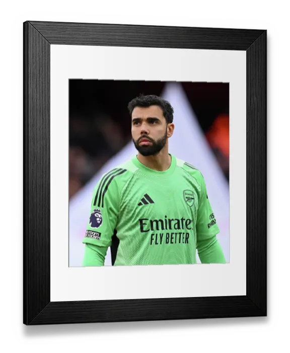 Framed Print : Arsenal v Crystal Palace - Premier League