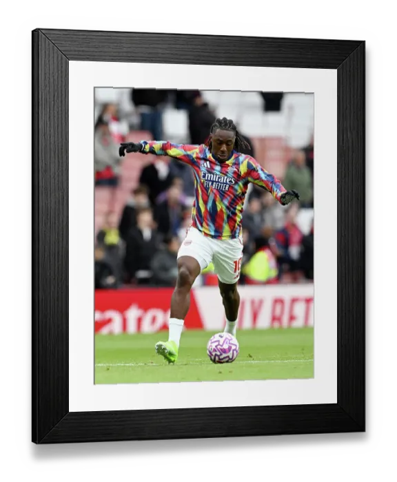 Framed Print : Arsenal v Crystal Palace - Premier League Framed Print : Arsenal v Crystal Palace - Premier League