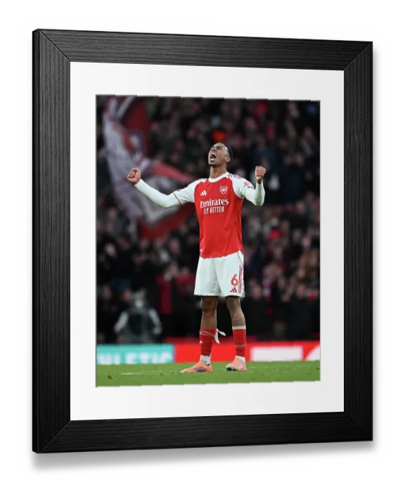 Framed Print : Arsenal v Crystal Palace - Premier League Framed Print : Arsenal v Crystal Palace - Premier League