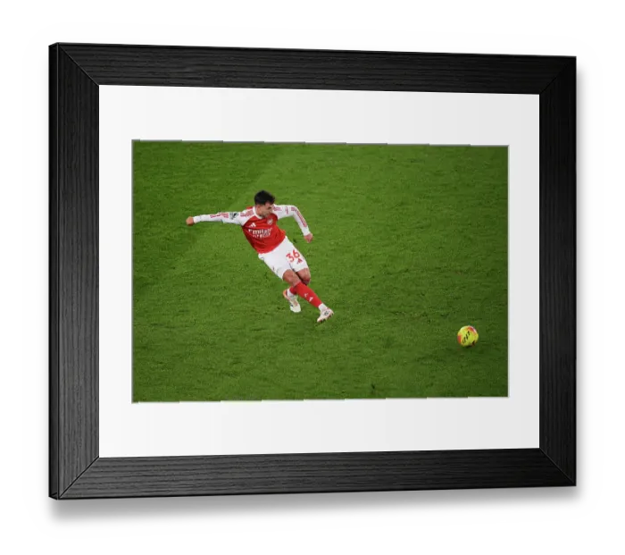 Framed Print : Arsenal v Tottenham Hotspur - Premier League