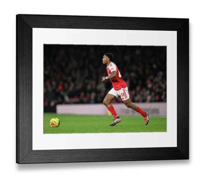 Framed Print : Arsenal v Wolverhampton Wanderers - Premier League Framed Print : Arsenal v Wolverhampton Wanderers - Premier League