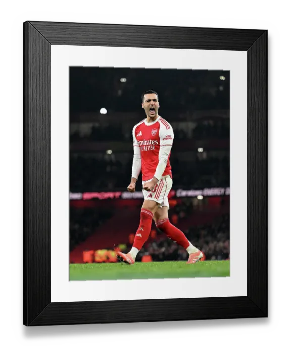 Framed Print : Arsenal v Crystal Palace - Carabao Cup Quarter Final Framed Print : Arsenal v Crystal Palace - Carabao Cup Quarter Final