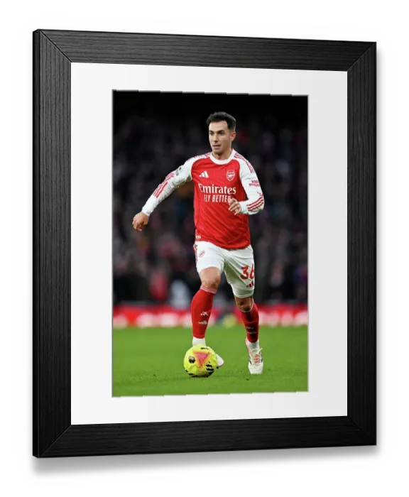 Framed Print : Arsenal v Brighton & Hove Albion - Premier League Arsenal v Brighton & Hove Albion - Premier League