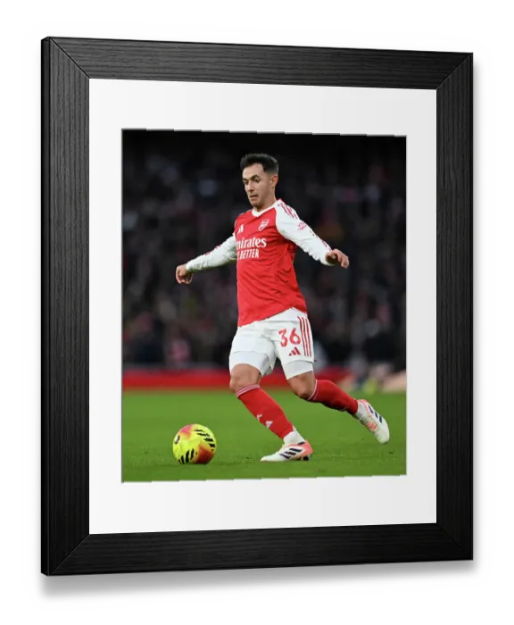 Framed Print : Arsenal v Brighton & Hove Albion - Premier League Arsenal v Brighton & Hove Albion - Premier League