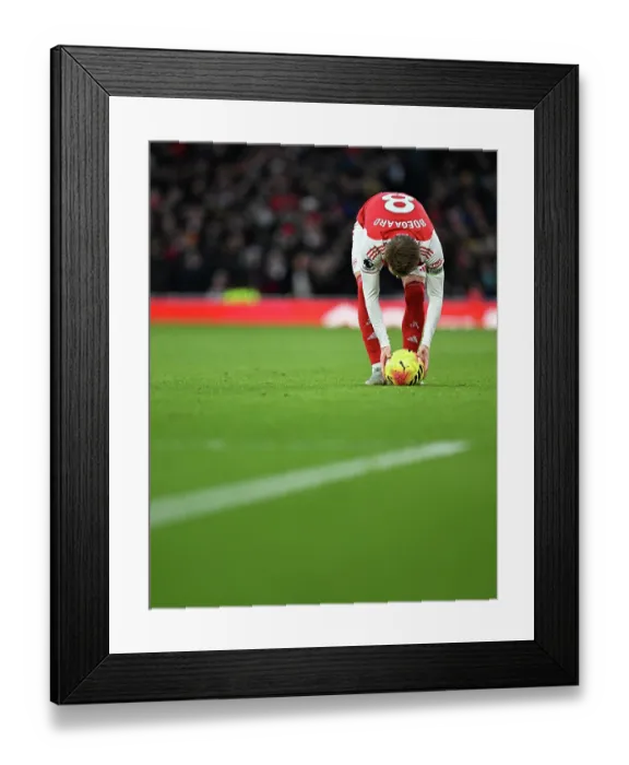 Framed Print : Arsenal v Brighton & Hove Albion - Premier League Arsenal v Brighton & Hove Albion - Premier League