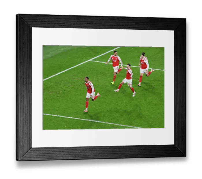 Framed Print : Arsenal v Aston Villa - Premier League