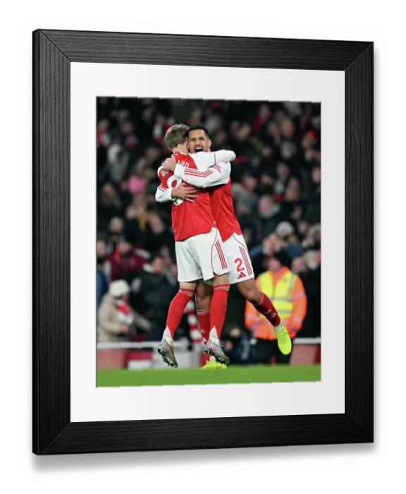 Framed Print : Arsenal v Aston Villa - Premier League Framed Print : Arsenal v Aston Villa - Premier League