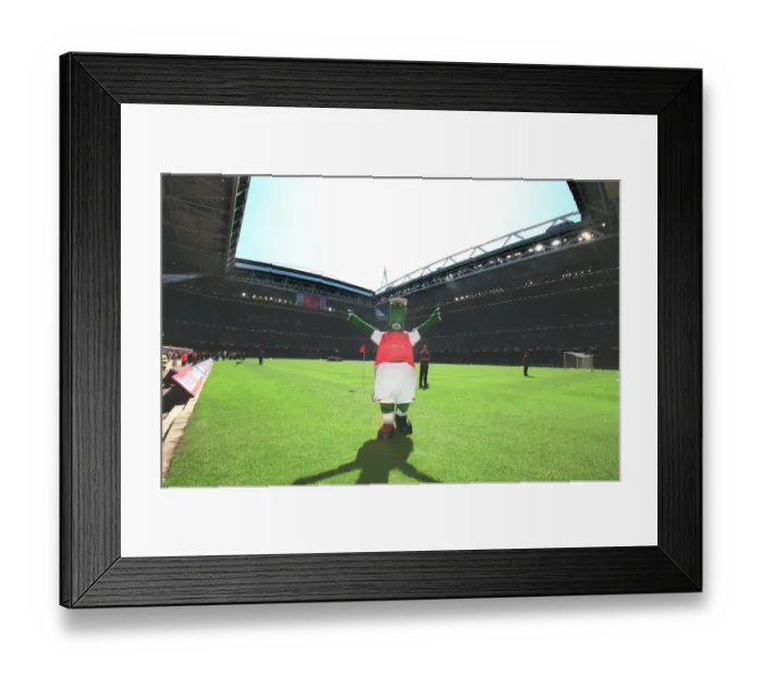 Framed Print : Gunnersaurus on the pitch ath the Millenium Stadium. The AXA F. A