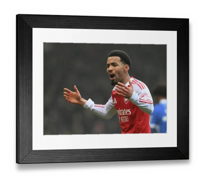 Framed Print : Portsmouth v Arsenal - Emirates FA Cup Third Round Framed Print : Portsmouth v Arsenal - Emirates FA Cup Third Round