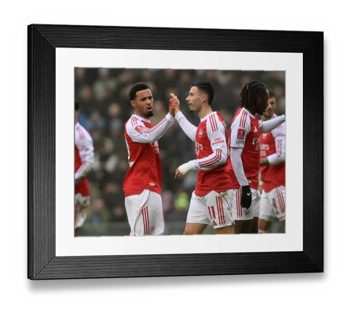 Framed Print : Portsmouth v Arsenal - Emirates FA Cup Third Round Framed Print : Portsmouth v Arsenal - Emirates FA Cup Third Round