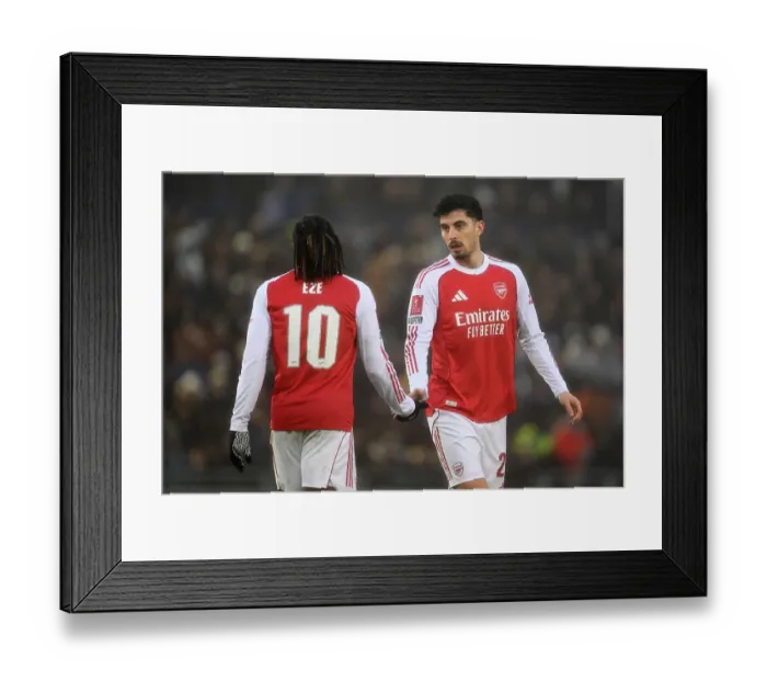 Framed Print : Portsmouth v Arsenal - Emirates FA Cup Third Round Framed Print : Portsmouth v Arsenal - Emirates FA Cup Third Round
