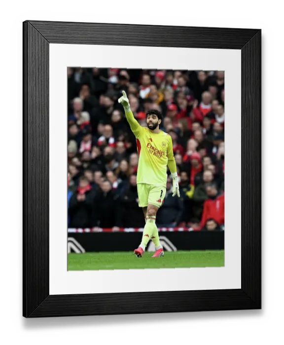 Framed Print : Arsenal v Sunderland - Premier League Framed Print : Arsenal v Sunderland - Premier League