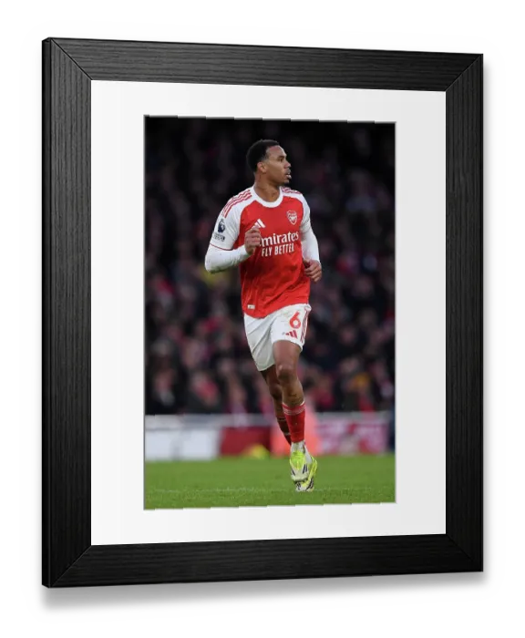 Framed Print : Arsenal v Sunderland - Premier League Framed Print : Arsenal v Sunderland - Premier League