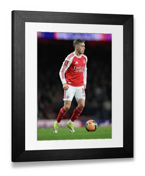 Framed Print : Arsenal v Wigan Athletic - Emirates FA Cup Fourth Round Framed Print : Arsenal v Wigan Athletic - Emirates FA Cup Fourth Round