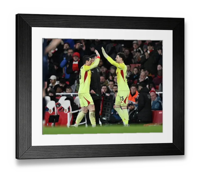 Framed Print : Arsenal v Wigan Athletic - Emirates FA Cup Fourth Round Framed Print : Arsenal v Wigan Athletic - Emirates FA Cup Fourth Round
