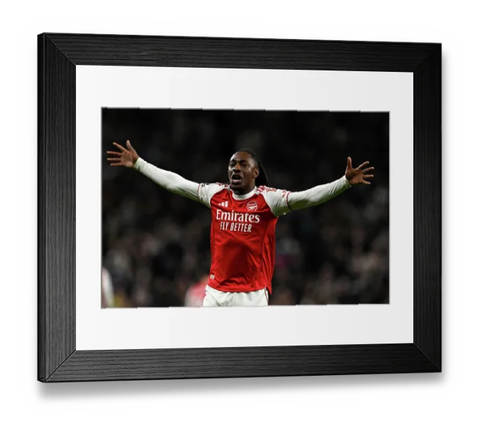 Framed Print : Tottenham Hotspur v Arsenal - Premier League