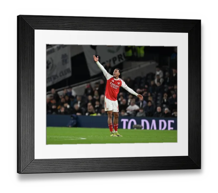 Framed Print : Tottenham Hotspur v Arsenal - Premier League