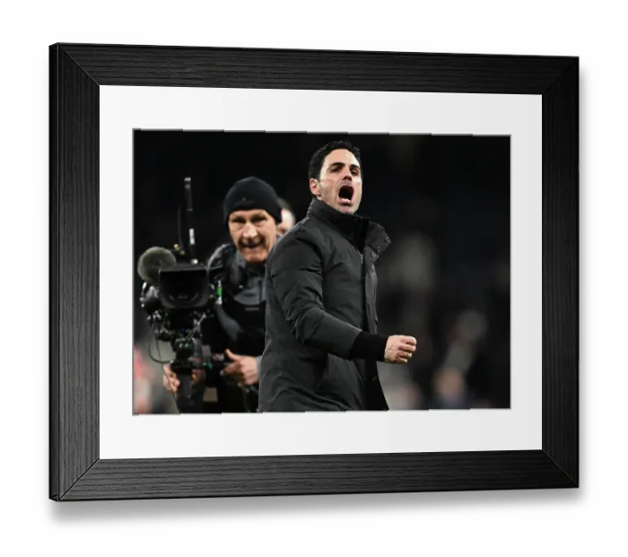 Framed Print : Tottenham Hotspur v Arsenal - Premier League