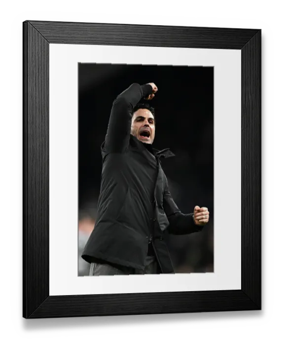 Framed Print : Tottenham Hotspur v Arsenal - Premier League