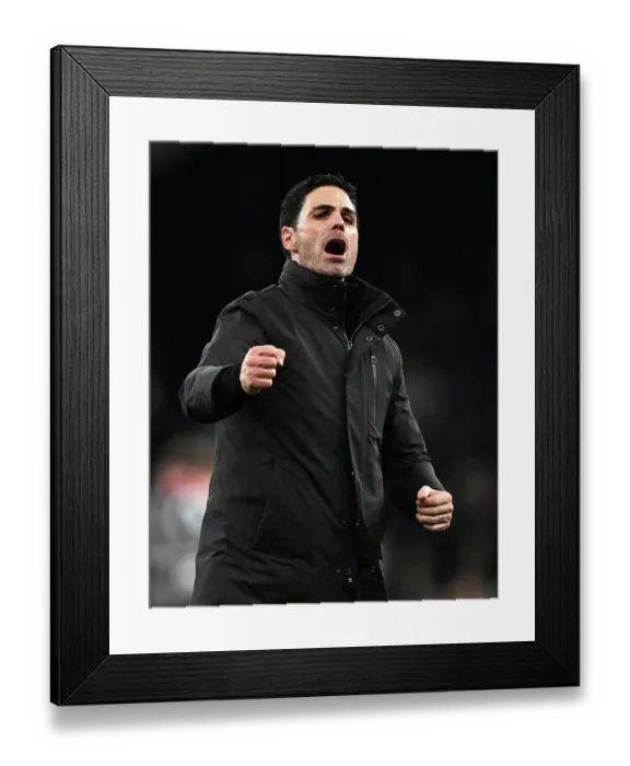 Framed Print : Tottenham Hotspur v Arsenal - Premier League