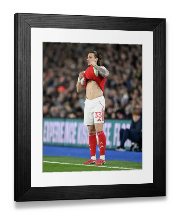 Framed Print : Brighton & Hove Albion v Arsenal - Premier League