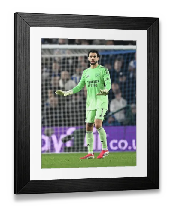 Framed Print : Brighton & Hove Albion v Arsenal - Premier League