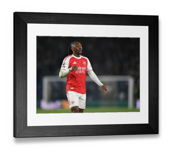 Framed Print : Brighton & Hove Albion v Arsenal - Premier League Brighton & Hove Albion v Arsenal - Premier League