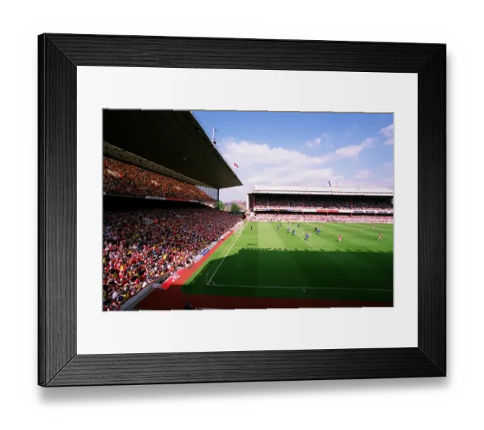 Framed Print : Arsenal vs Leicester City: FA Premiership Showdown at Highbury, London (May 15, 2004)