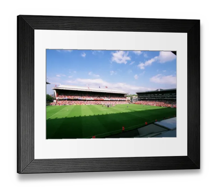 Framed Print : Arsenal vs Leicester City: FA Premiership Showdown - May 15, 2004, Highbury, London Framed Print : Arsenal vs Leicester City: FA Premiership Showdown - May 15, 2004, Highbury, London