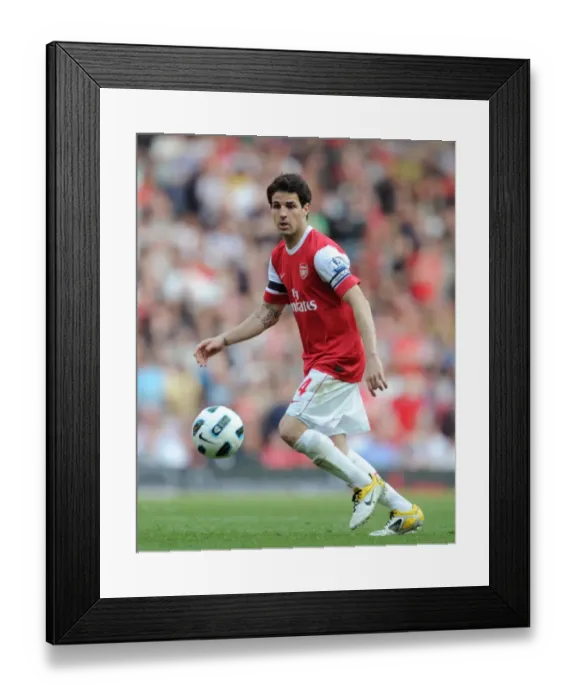 Framed Print : Cesc Fabregas (Arsenal). Arsenal 1: 1 Liverpool. Barclays Premier League
