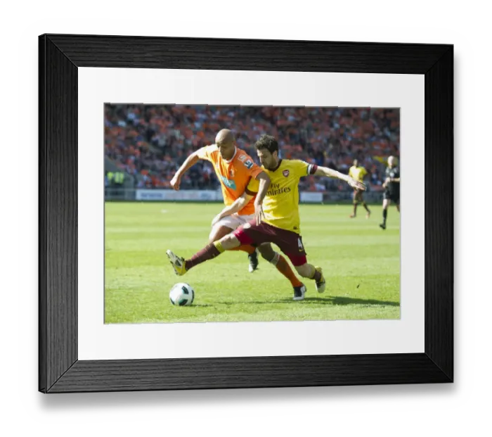 Framed Print : Cesc Fabregas (Arsenal) Alex Baptiste (Blackpool). Blackpool 1: 3 Arsenal Framed Print : Cesc Fabregas (Arsenal) Alex Baptiste (Blackpool). Blackpool 1: 3 Arsenal