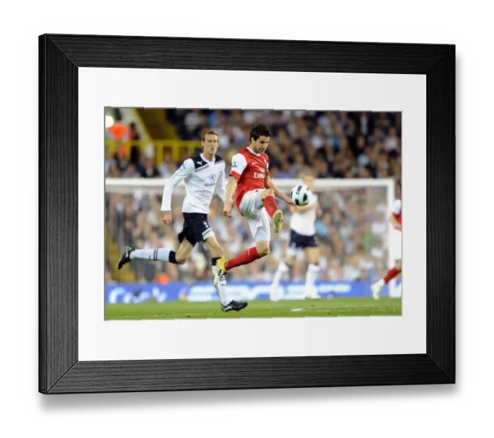 Framed Print : Cesc Fabregas (Arsenal). Tottenham Hotspur 3: 3 Arsenal. Barclays Premier League